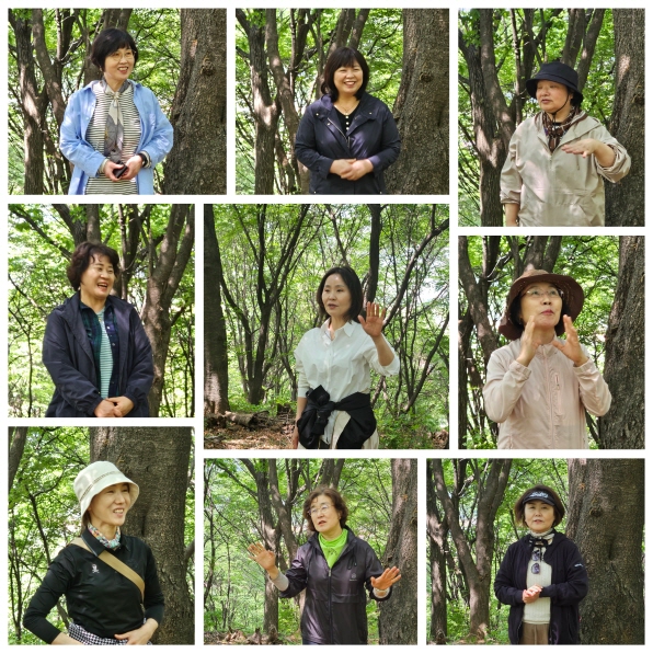 한국ywca연합회사진